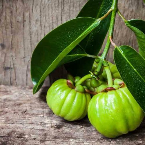 Things You Need to Know about Garcinia Cambogia