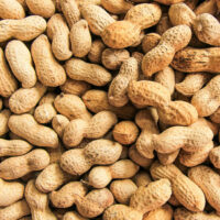 5 common food allergies and their remedies