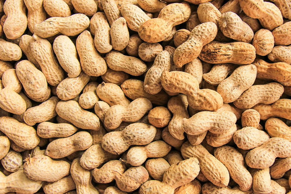 5 common food allergies and their remedies